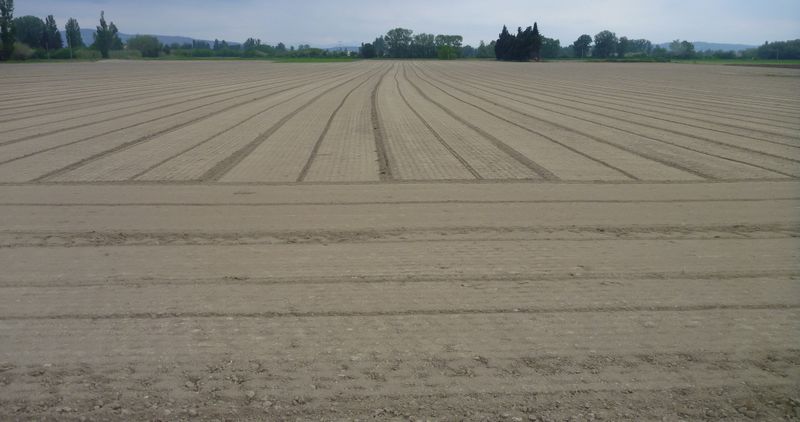 Terre des alluvions du Rhône n'attend plus que la graine du seigneur