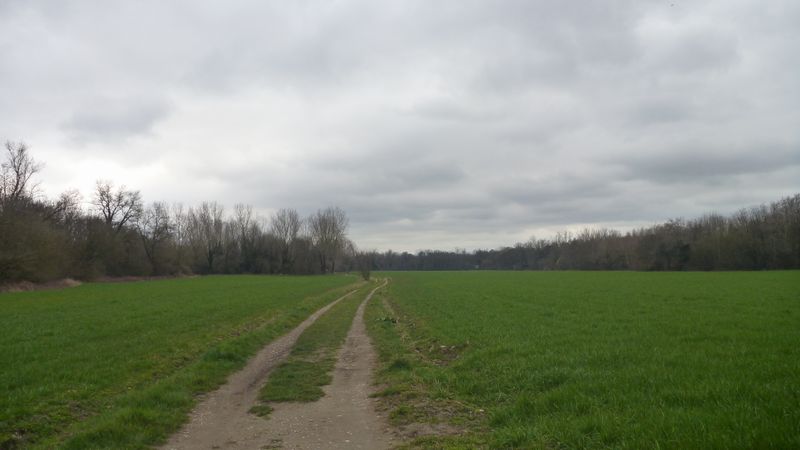 Chemin de Traverses vers le Sud entre D 315 et Rhône