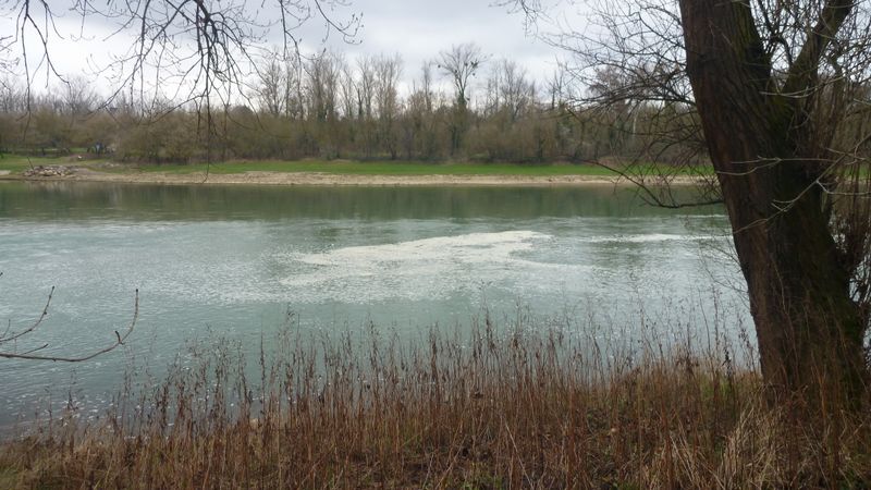 Pollution sur le Rhône au niveau de Vernaison