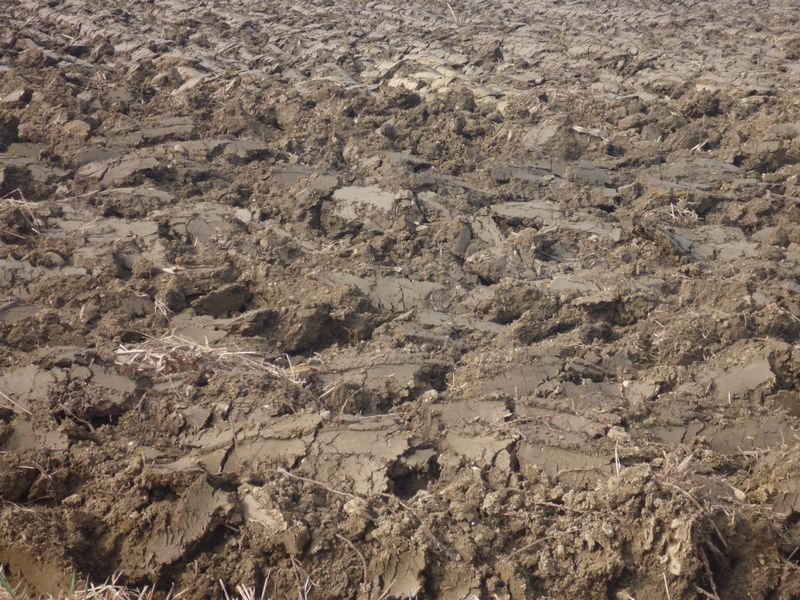 Terre des terres froides en 2015