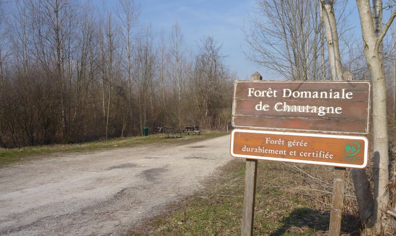 Forêt domaniale de Chautagne : La Peupleraie : pasage possible à bicyclette en 2015