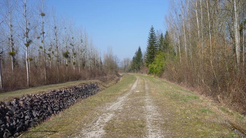A la recherche de ViaRhôna entre Pont de Groslée et Brangues en 2015