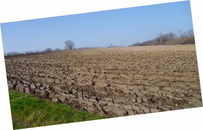 Terre Nouricière du Nord Isère en 2015