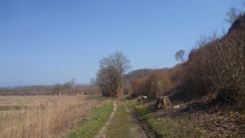 En voiture Simone par les chemins creux du Nord Isère en pays des couleurs à la recherhe de ViaRhôna
