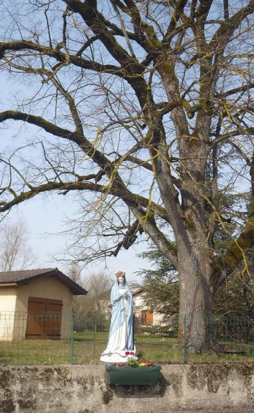 Et mettons nous sous la protection de la Vierge Marie d'Anthon