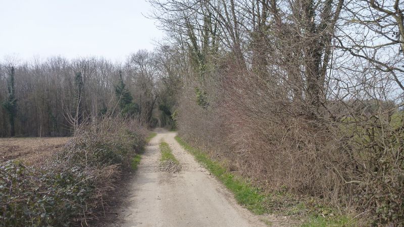 Ce qui n'est pas évident à priori, car un VTT est quasi nécessaire pour y rouler