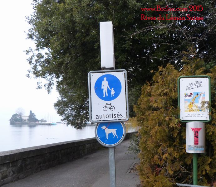Cycler au plus près des Rives : C'est possible, mais pas en mode couraillon ..