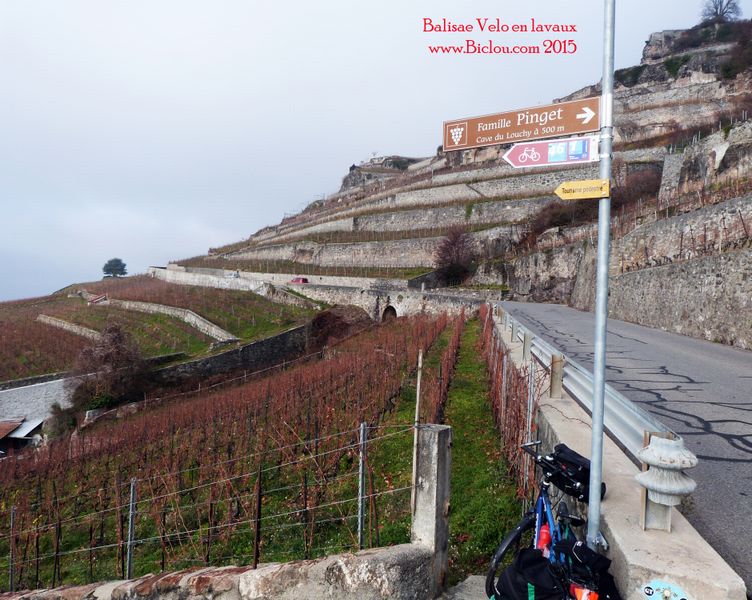 Balisage Suisse à Vélo en Lavaux en 2015
