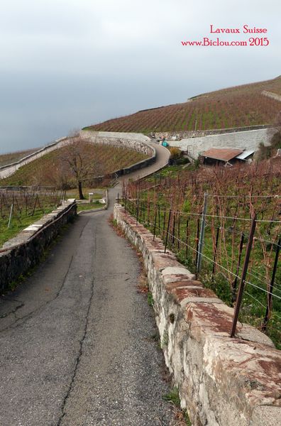 Balade en Route des vins de Lavaux