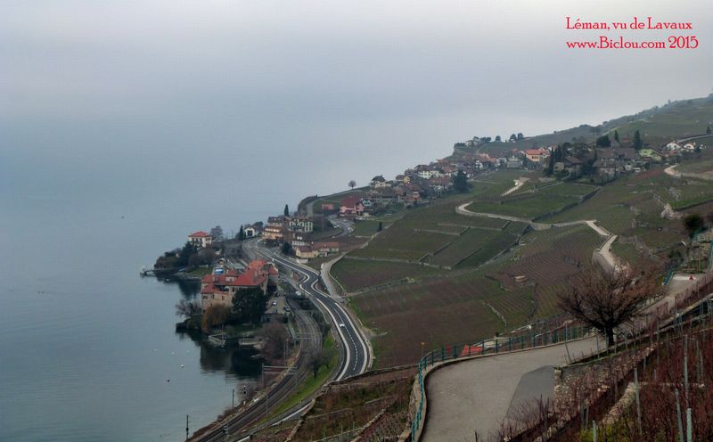 Léman et route Suisse vus de Lavaux ..