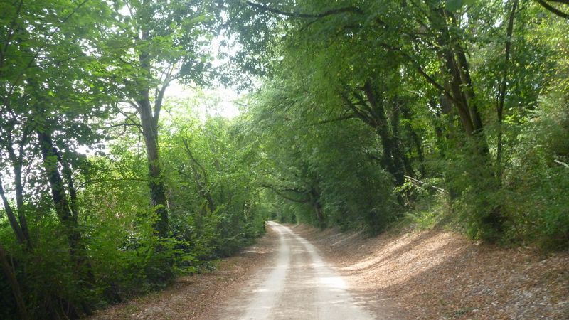 Le long du canal de Jonage