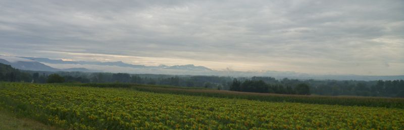 Vue sur les premiers contreforts des Alpes depuis le Nord Isère