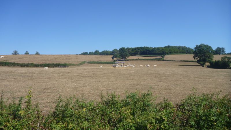 campagne bourgignone