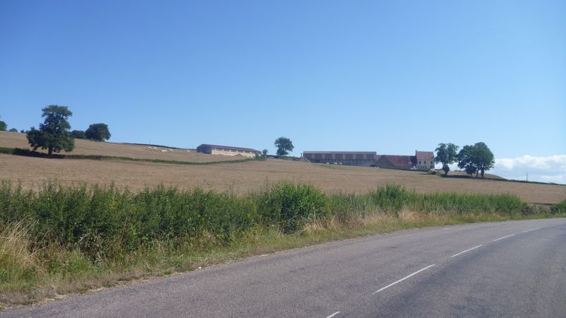 Ferme du Charolais en 2015