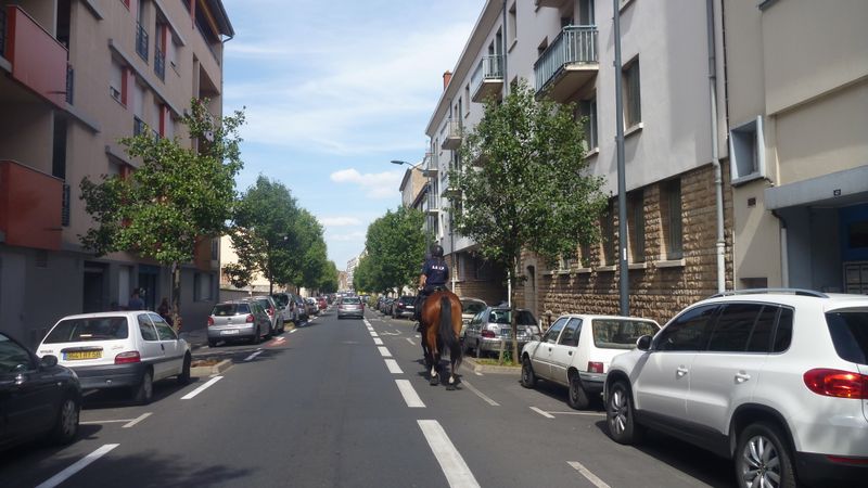 Mâcon, la police municipale à Cheval : elles descendent de la montagne à cheval 