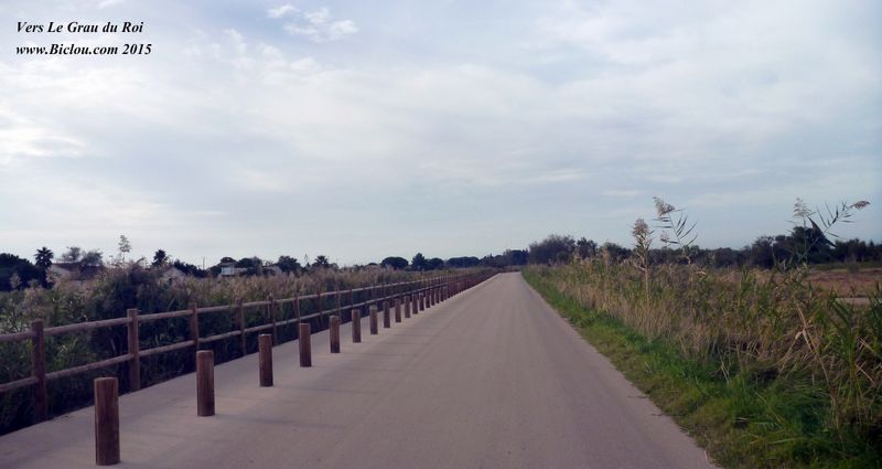 ViaRhôna et Euro vélo huit En route vers Grau du Roi , sortis de Aigues Mortes en 2015