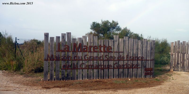 Sur ViaRhôna : La Marette :Aigues mortes 2015