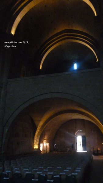 Cathédrale de Maguelone