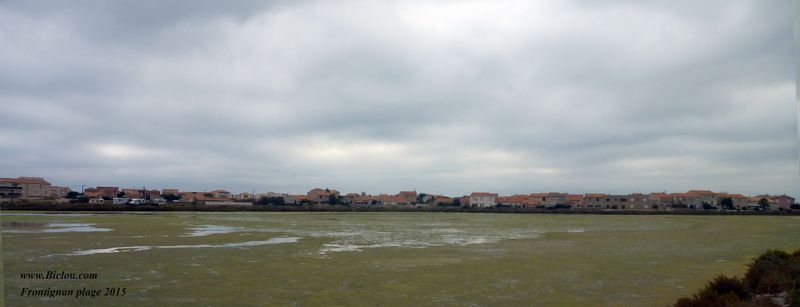 Frontignan plage , l'étang d'Ingril 2015