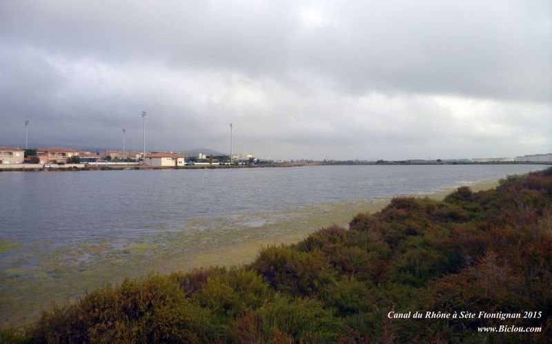Le canal du Rhône à Sète du côté de Frontignan