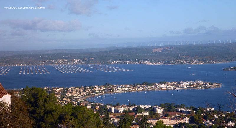 Sète 2015