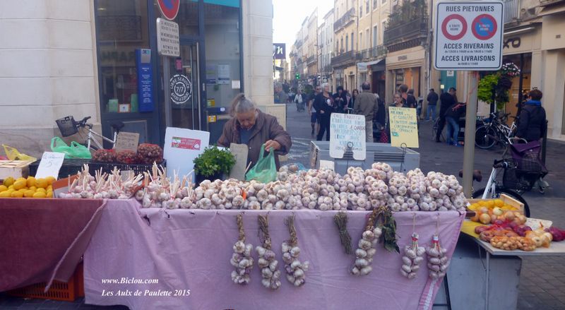 Marché aux aulx à Sète 2015
