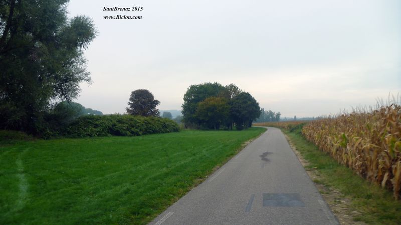 ViaRhôna entre Saut Brenaz et Serrières en Bugey en 2015