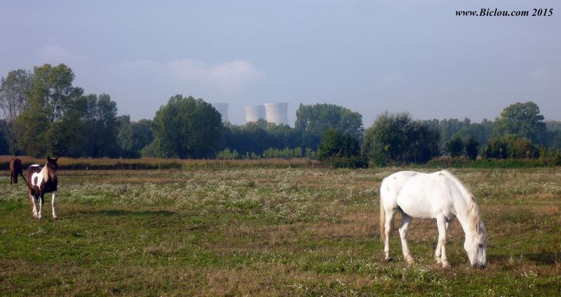 Des chevaux (deux fois 736 watts) et des Gigawatts (2)