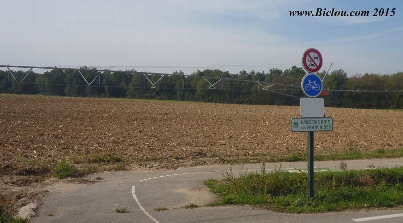 ViaRhôna s'affranchit de la D55 Après Anthon vers le bois des Franchises