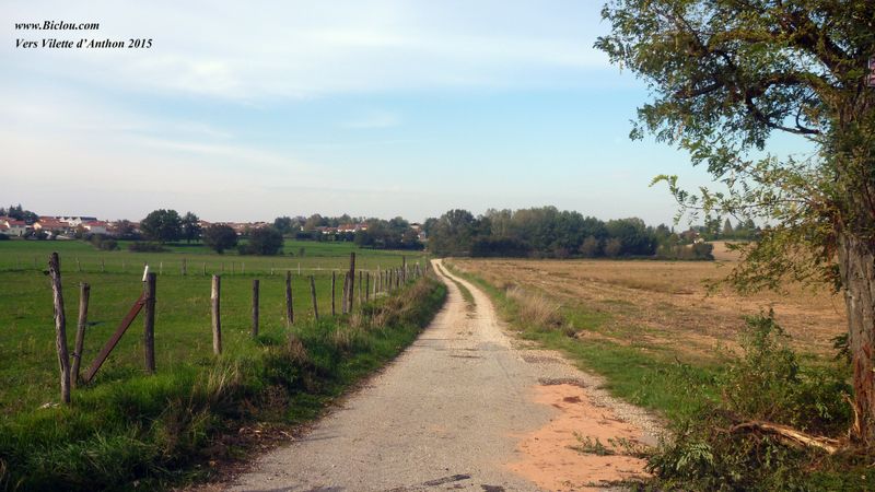 ViaRhôna sortie du Bois des Franchises en route pour Villette d'Anthon en 2015