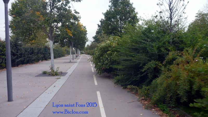 Même pas foutu de tailler les arbustes à Lyon