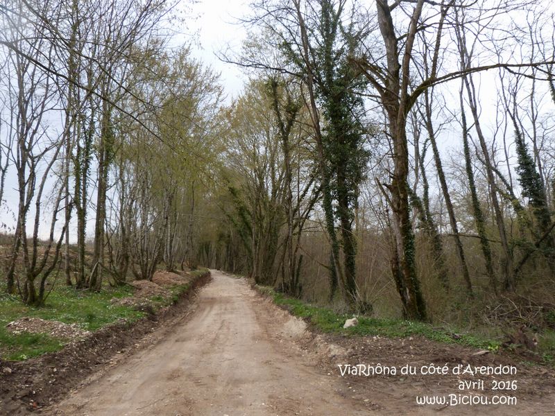ViaRhôna en construction du côté d'Arendon en avril 2016 