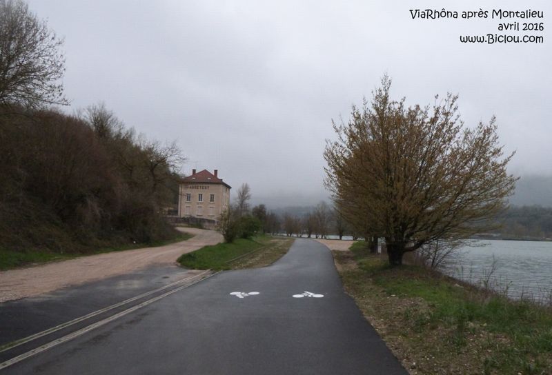 ViaRhôna entre Montalieu et Saut Brenaz