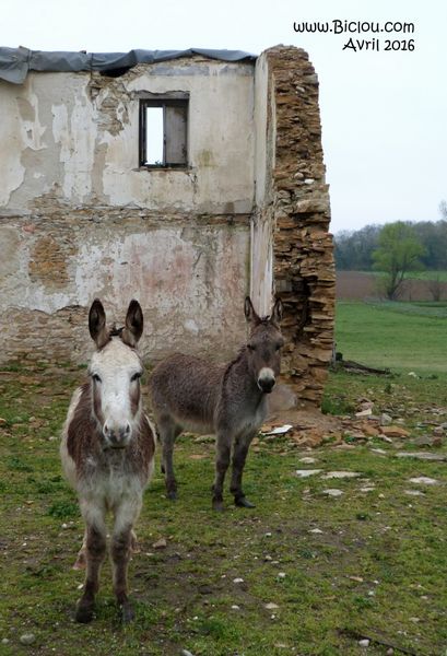 Fermez la porte per favor'