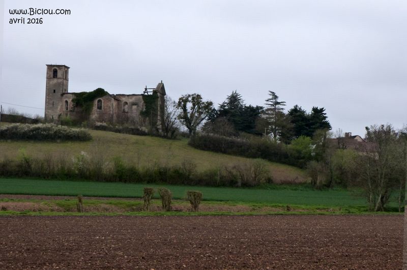 Vernas : château du Cingle