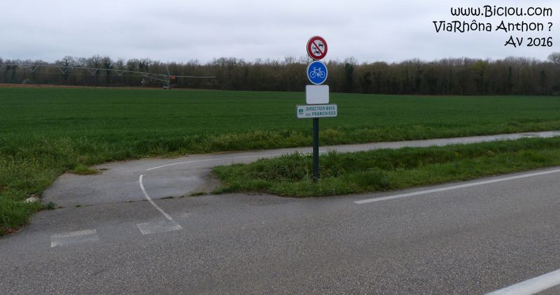 ViaRhôna avril 2016 : Anthon ; un échapatoir traquenard à la D 55 et ViaRhôna ?