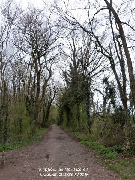 ViaRhôna passerait elle du côté de Villette d'Anthon en avril 2016 ?