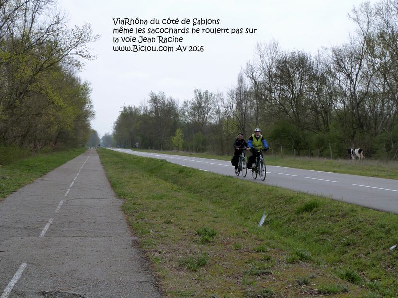 ViaRhôna avant Sablons : Même les sacochards suivent la route 