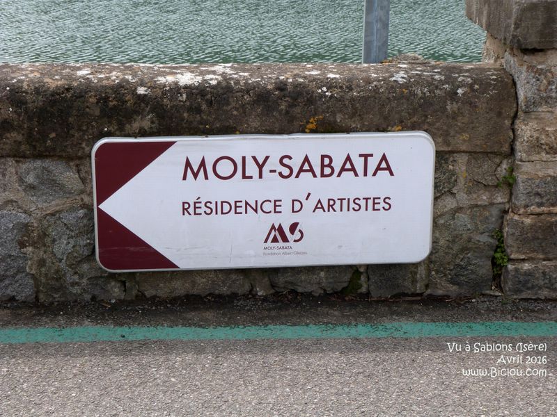 Moly-sabata à Sablons (Isère)
