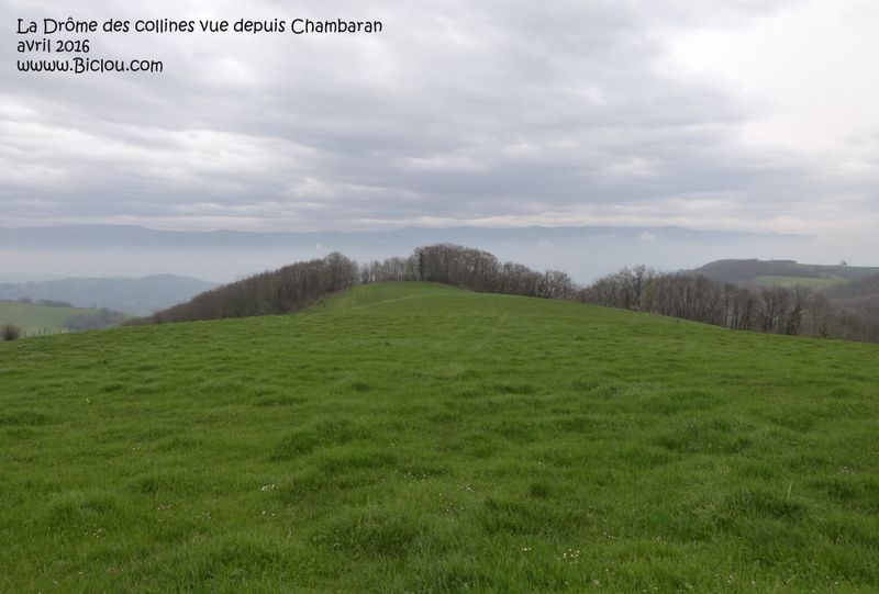 Après Chambaran la Drôme des collines descend sur la vallée de l'Isère
