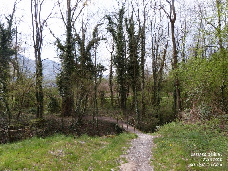 Passage un peu délicat sur les rives de l'Isère niveau Brignoud