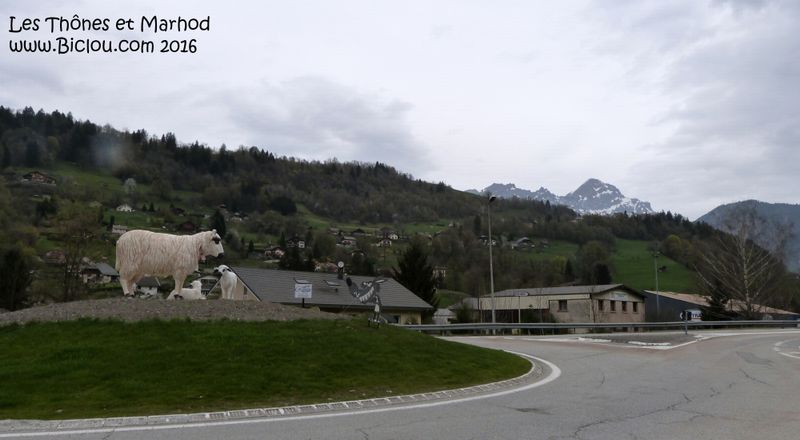 Marthod et ses célèbres moutons Thônes et Marhod en 2016