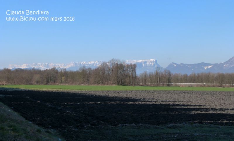 Le massif de la Chartreuse vu de la plaine de l'Isère à Aiton