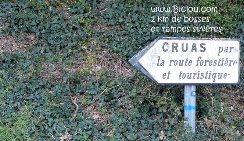 Le Serre : Suivre de la Route Forestière de Cruas