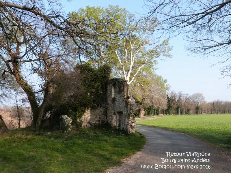 Retour sur ViaRhôna au niveau de cette ruine témoin des crues du Rhône