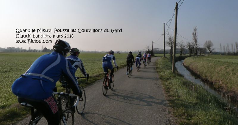 Couraillons..