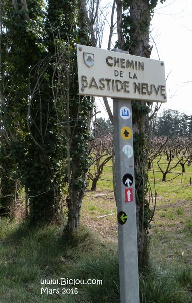Balisages sauvages vers le Sud chemin de la Bastide Neuve vu en 2016