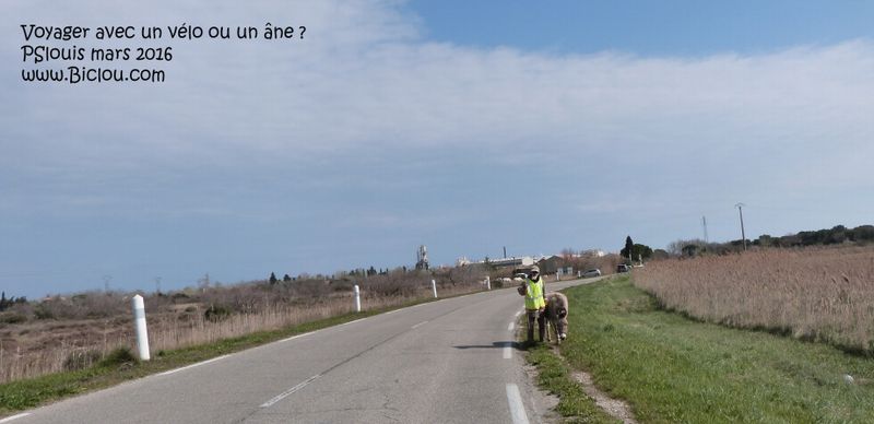 Un randoneur et son âne