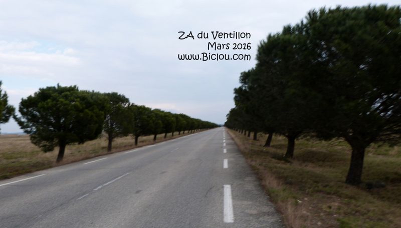 Route de la ZA de Ventillon