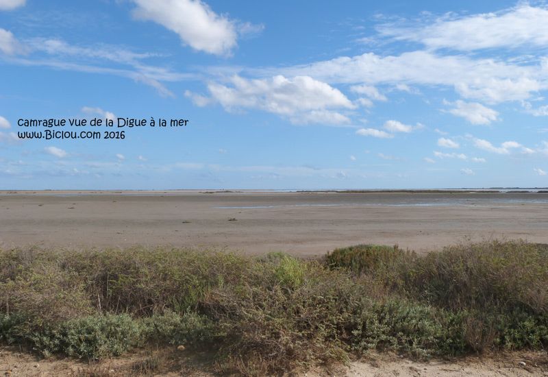 La camargue vue de la Digue à la mer en 2016